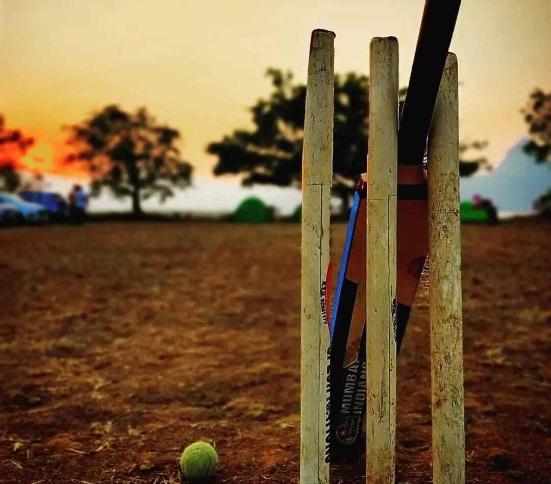 cricket